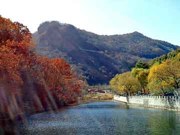 正新澳门二四六天天彩，亮晶晶眼贴